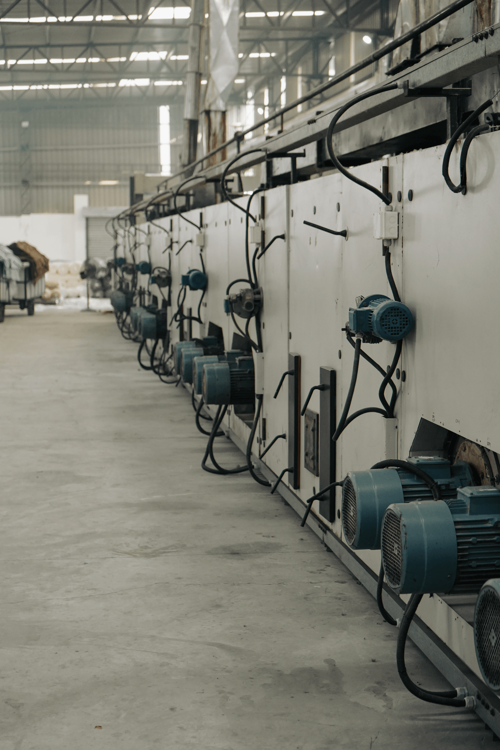 Stenter Frames and Felt Compactor Plant Floor